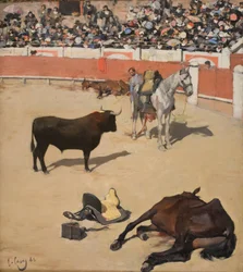 Tyr (døde heste)